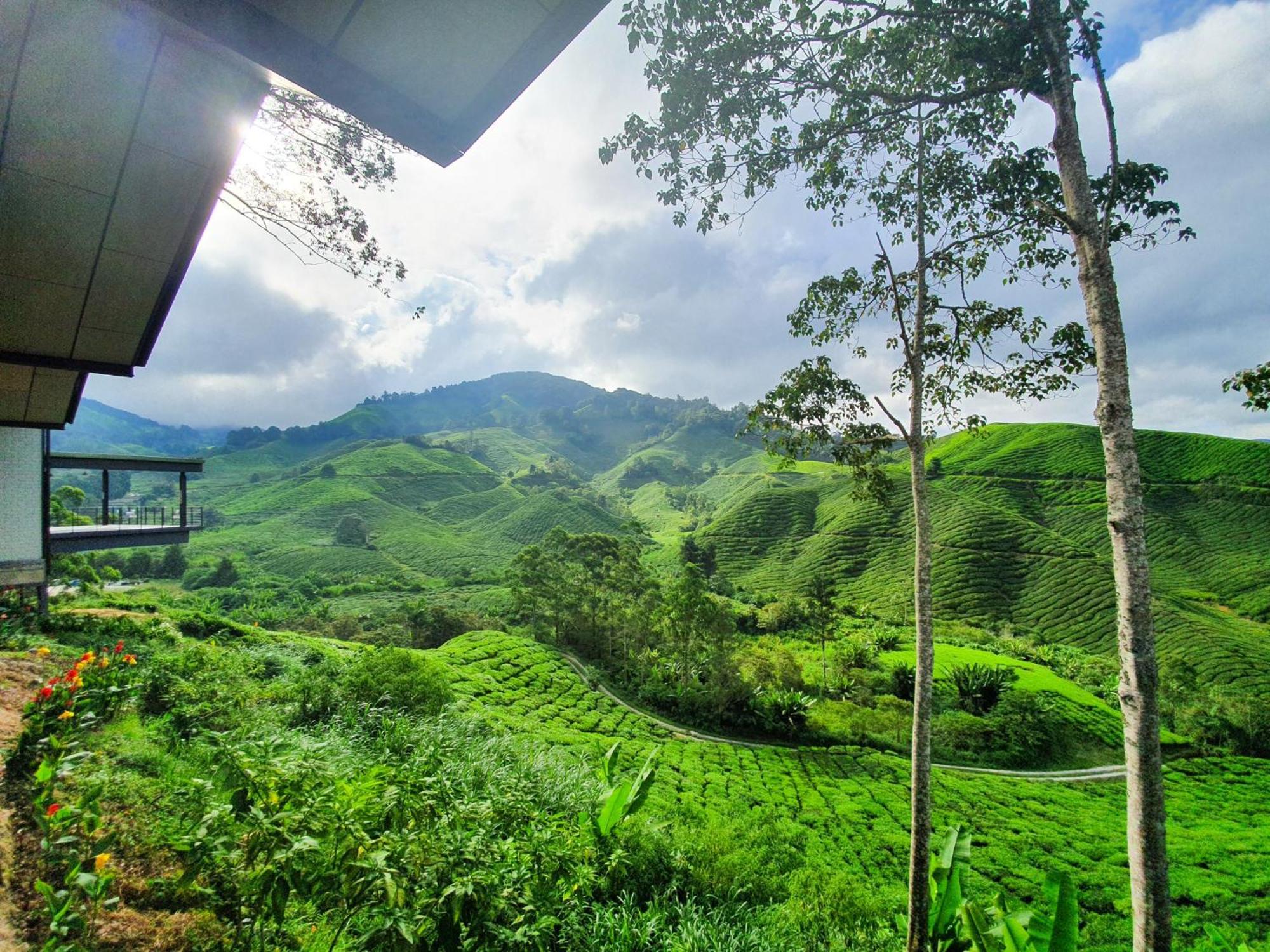 Clocktower 2 Homestay 2-7 Pax At Brinchang, Cameron Highlands Exterior foto